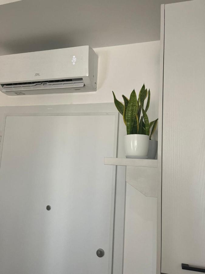 Comfy Nest Apartment- Free Parking ติรานา ภายนอก รูปภาพ